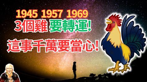 1969年屬雞運勢|生肖雞: 性格，愛情，2024運勢，生肖1993，2005，2017